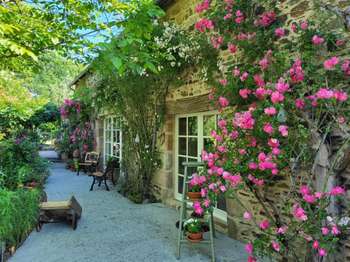 Vente maison 8 pièces Chamboulive 19