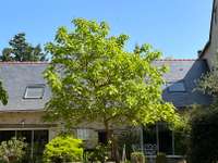 Vente maison 11 pièces