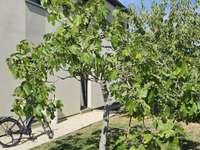 Vente maison 14 pièces Vente maison 14 pièces