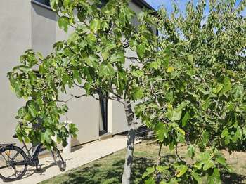 Vente maison 14 pièces Vente maison 14 pièces