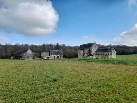 Vente maison 5 pièces Château-Gontier 53