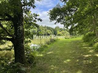 Vente maison 15 pièces