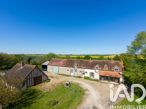 Vente maison 10 pièces Château-Renard 45