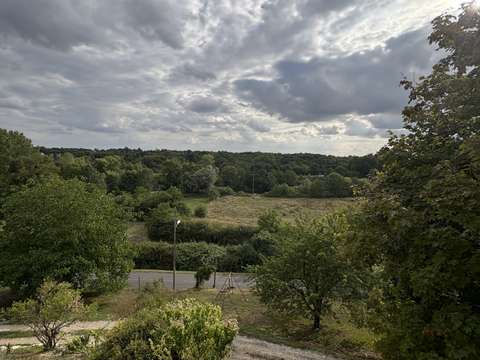 Vente maison 7 pièces Châteauneuf-sur-Cher 18