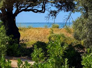 Vente Maison 3 chambresChâtelaillon-Plage