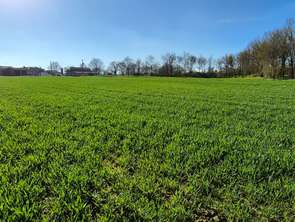 Vente Maison 1 chambreChavagnes-en-Paillers