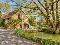 Vente maison 10 pièces