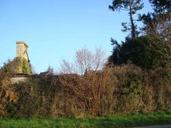 Vente maison