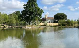 Photo Vente maison Cléré-sur-Layon