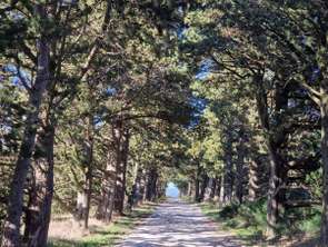 Vente Maison 16 chambresCorbières