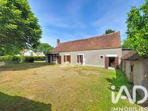 Vente maison 5 pièces Coullons 45