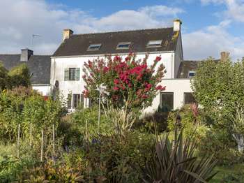 Vente maison 7 pièces Damgan 56