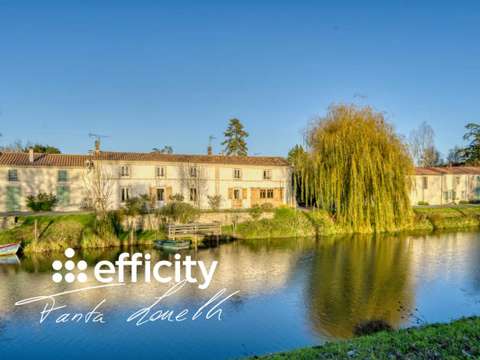 Vente maison 15 pièces Damvix 85