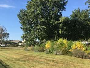 Vente Maison 3 chambresDaumeray