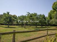 Vente maison 20 pièces Vente maison 20 pièces