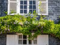 Vente maison 12 pièces Vente maison 12 pièces