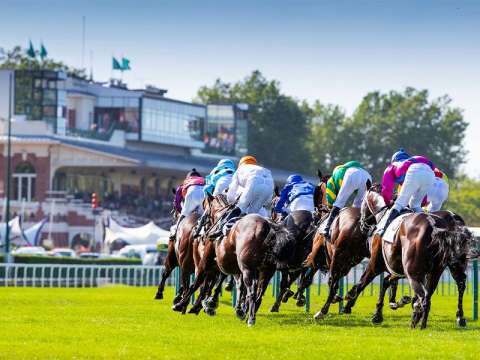 Vente maison 5 pièces Deauville 14