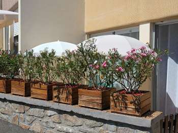 Vente Maison 1 chambreDinard