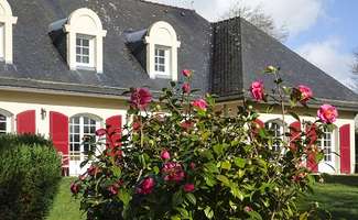 Photo Vente maison Dirinon