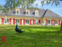 Vente maison 10 pièces