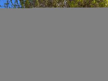 Photo Vente maison Divatte-sur-Loire
