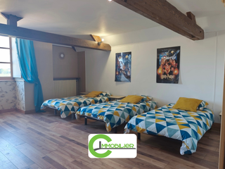 Vente maison 11 pièces