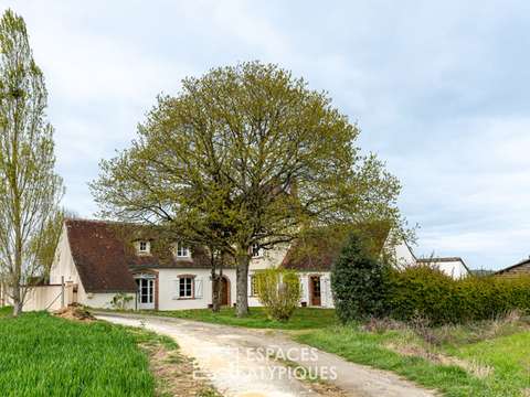 Vente maison 9 pièces Dollon 72