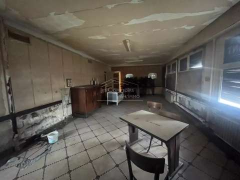 Vente maison 13 pièces