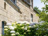 Vente maison 14 pièces