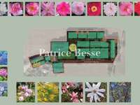 Vente maison 14 pièces