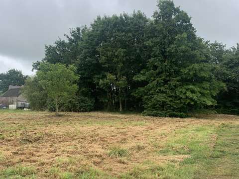 Vente maison 1 pièce Drefféac 44
