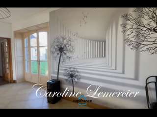 Vente maison 9 pièces Vente maison 9 pièces
