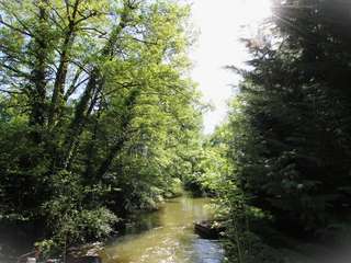 Vente maison 20 pièces