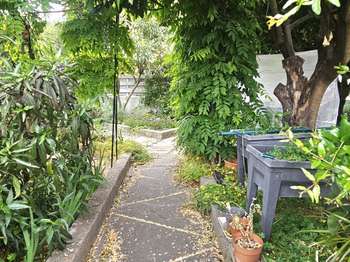 Vente maison 3 pièces Elne 66