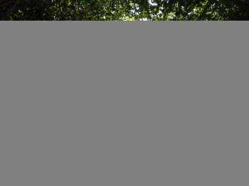 Vente Maison 5 chambresElven
