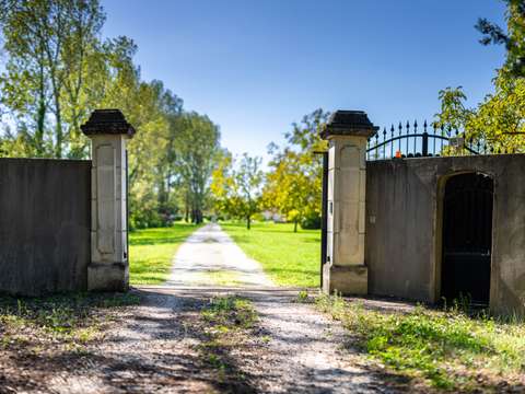 Vente maison 7 pièces Entraigues-sur-la-Sorgue 84