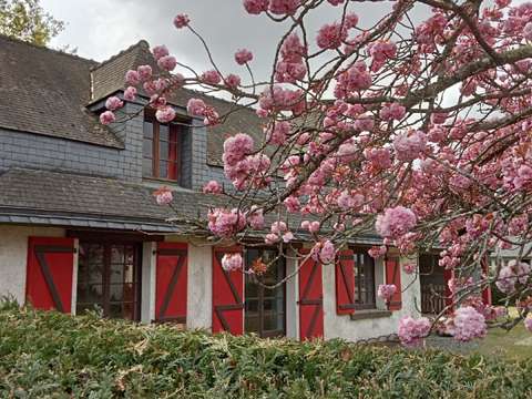 Vente maison 6 pièces Éréac 22