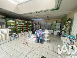 Vente maison 11 pièces