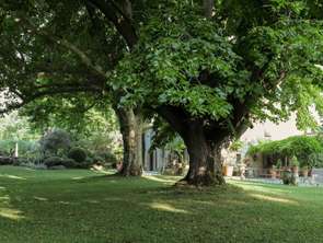 Vente Maison 7 chambresEygalières