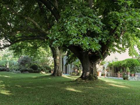 Vente maison 14 pièces Eygalières 13