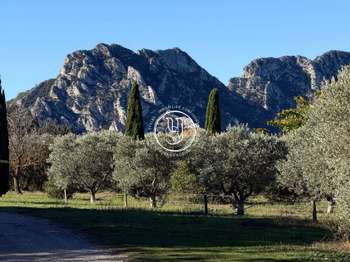 Vente maison 7 pièces Eygalières 13