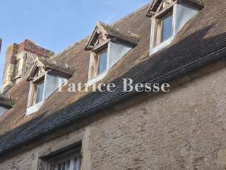 Vente maison 14 pièces