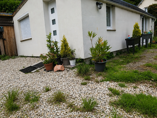 Vente maison 2 pièces