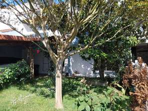 Vente Maison 4 chambresFontenay-le-Comte