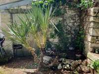 Vente maison 14 pièces Vente maison 14 pièces