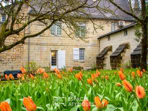Vente Maison 5 chambresFontevraud-l'Abbaye
