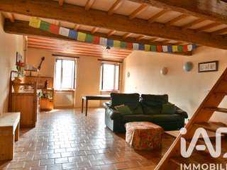 Vente maison 11 pièces