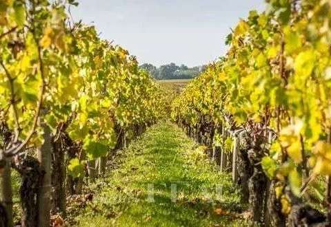 Vente maison 8 pièces Gassin 83