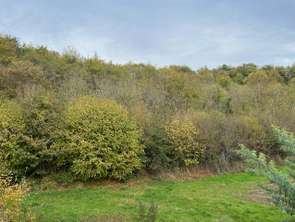 Vente Maison 4 chambresGennes-Val-de-Loire