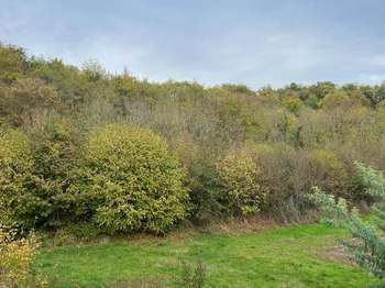 Vente maison 6 pièces Gennes-Val-de-Loire 49